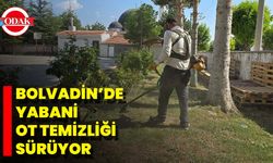 Bolvadin’de Yabani Ot Temizliği Sürüyor