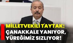 Milletvekili Taytak: Çanakkale yanıyor, yüreğimiz sızlıyor!