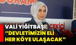 Vali Yiğitbaşı: “Devletimizin eli her köye ulaşacak”