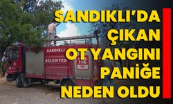 Sandıklı’da Çıkan Ot Yangını Paniğe Neden Oldu