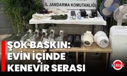 Şok Baskın: Evin İçinde Kenevir Serası