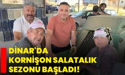 Dinar'da kornişon salatalık sezonu başladı!
