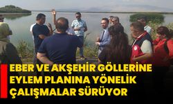 Eber ve Akşehir göllerine eylem planına yönelik çalışmalar sürüyor