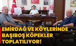 Emirdağ ve köylerinde başıboş köpekler toplatılıyor!