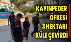 KAYINPEDER ÖFKESİ 3 HEKTARI KÜLE ÇEVİRDİ