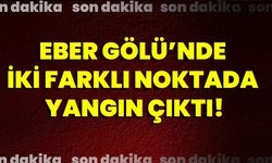 Eber Gölü’nde iki farklı noktada yangın çıktı!