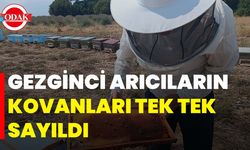 Gezginci Arıcıların Kovanları Tek Tek Sayıldı