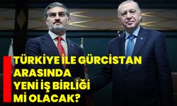Türkiye İle Gürcistan Arasında Yeni İş Birliği Mi Olacak?