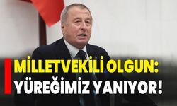 Milletvekili Olgun: Yüreğimiz yanıyor!