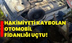 Hakimiyeti kaybolan otomobil fidanlığı uçtu!