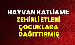 Hayvan Katliamı: Zehirli Etleri Çocuklara Dağıttırmış