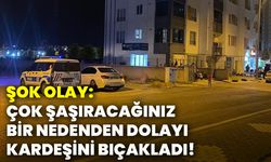 Şok olay: Çok şaşıracağınız bir nedenden dolayı kardeşini bıçakladı!