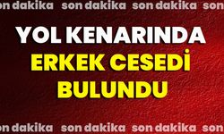 Yol Kenarında Erkek Cesedi Bulundu