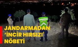 Jandarmadan ‘incir hırsızı' nöbeti