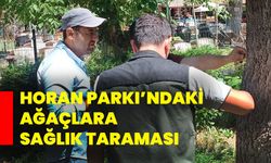 Horan Parkı’ndaki ağaçlara sağlık taraması