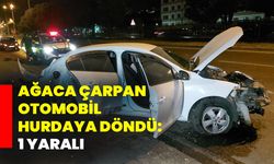 Ağaca çarpan otomobil hurdaya döndü: 1 yaralı