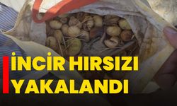 İncir hırsızı yakalandı
