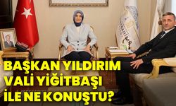 Başkan Yıldırım, Vali Yiğitbaşı ile ne konuştu?
