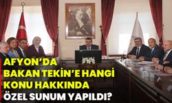 Afyonkarahisar’da Bakan Tekin’e hangi konu hakkında özel sunum yapıldı?