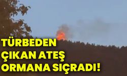 Türbeden çıkan ateş ormana sıçradı!