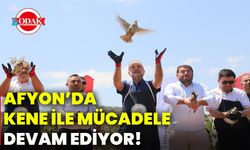 Afyon’da kene ile mücadele devam ediyor!