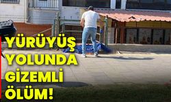 Yürüyüş yolunda gizemli ölüm!