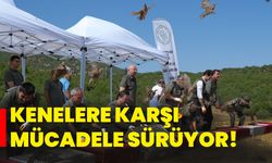 Kenelere karşı mücadele sürüyor!