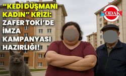 “Kedi düşmanı kadın” krizi: Zafer Toki’de imza kampanyası hazırlığı!