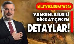Milletvekili Özkaya’dan yangınla ilgili dikkat çeken detaylar!