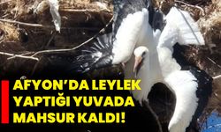 Afyon’da leylek yaptığı yuvada mahsur kaldı!