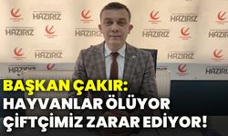 Başkan Çakır: Hayvanlar ölüyor, çiftçimiz zarar ediyor!