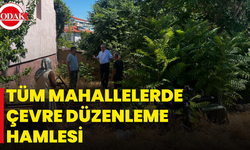 Tüm Mahallelerde Çevre Düzenleme Hamlesi