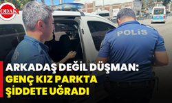 Arkadaş Değil Düşman: Genç Kız Parkta Şiddete Uğradı