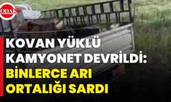 Kovan Yüklü Kamyonet Devrildi: Binlerce Arı Ortalığı Sardı