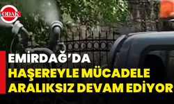Emirdağ’da Haşereyle Mücadele Aralıksız Devam Ediyor
