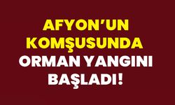 Afyon’un Komşusunda  Orman Yangını Başladı!