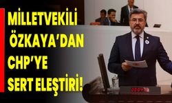 MİLLETVEKİLİ ALİ ÖZKAYA’DAN CHP’YE SERT ELEŞTİRİ!