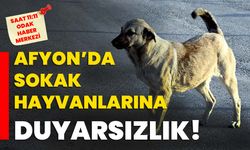 Afyonkarahisar’da sokak hayvanlarına duyarsızlık!