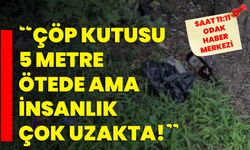 “Çöp kutusu 5 metre ötede ama insanlık çok uzakta!”