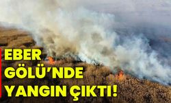 Eber Gölü’nde yangın çıktı!
