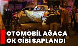Otomobil Ağaca Ok Gibi Saplandı