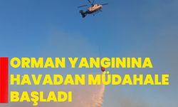 Orman yangınına havadan müdahale başladı