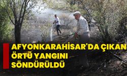 Afyonkarahisar'da çıkan örtü yangını söndürüldü