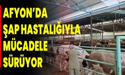 Afyonkarahisar’da Şap Hastalığıyla Mücadele Sürüyor