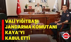 Vali Yiğitbaşı, Jandarma Komutanı Kaya’yı Kabul Etti