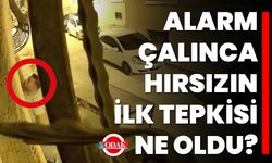 Alarm Çalınca Hırsızın İlk Tepkisi Ne Oldu?