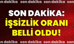 Son Dakika: İşsizlik Oranı Belli Oldu!