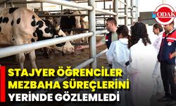 Stajyer Öğrenciler Mezbaha Süreçlerini Yerinde Gözlemledi