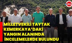 Milletvekili Taytak, Kemerkaya’daki Yangın Alanında İncelemelerde Bulundu