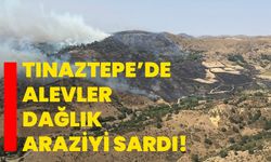 Tınaztepe’de alevler dağlık araziyi sardı!